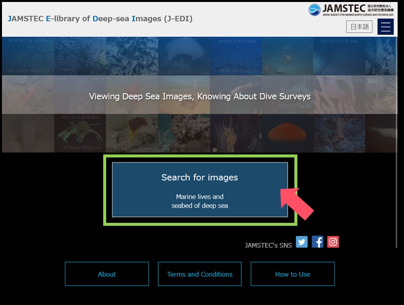 Home of JAMSTEC E-library of Deep-sea Images (J-EDI)