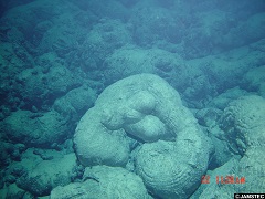 マグマが海水で冷やされてできた溶岩