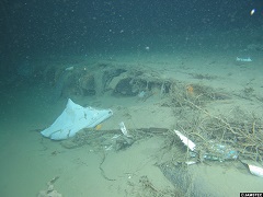 深海底に沈むゴミ